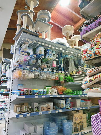 Lilly Store - Visual
