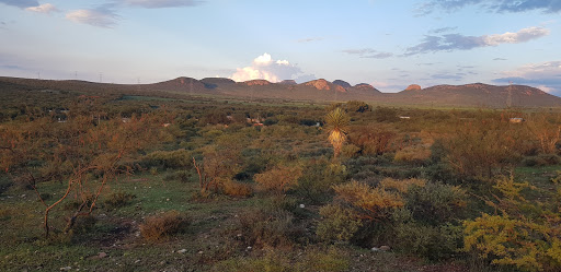 La Esparceña - Visual