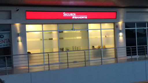 SEGUROS BANORTE