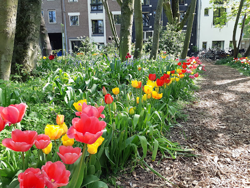 Toon yland plantsoen - Thumbnail