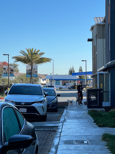 Baywood Gas Mart - Thumbnail