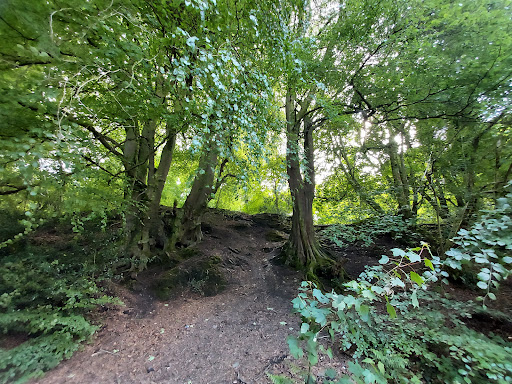 The Tramroad walk - Thumbnail