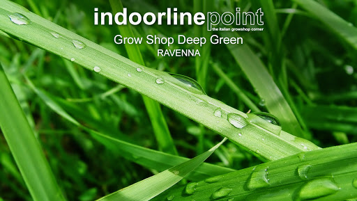 Grow Shop Deep Green - Ravenna