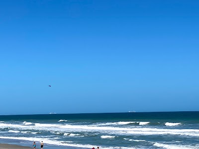 Brevard Barrier Island Reef at Pelican Beach Park 28.168561, -80.584314