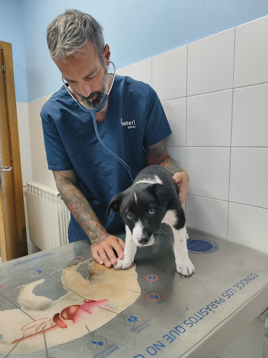 Clínica Veterinaria Veteriastur