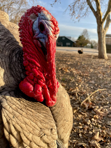 Harvest Ridge Ranch