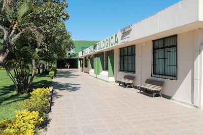 Photos of Ecologica National University