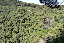 Floresta Nacional De Sao Francisco De Paula, Sao Francisco de Paula, Brazil