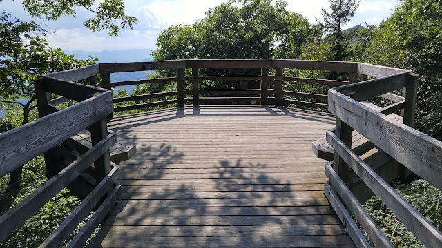 Roy Taylor Forest Overlook
