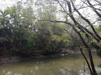 Photos of Agailjhara Bazar