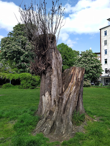 Linnenbrinks Garten - Thumbnail