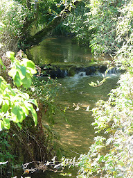 Photo n°16 de Au Val des Meuris à Taintrux (Chambre d'hôtes)