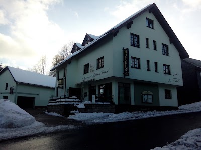 Photos of Rennsteighotel Gr&uuml;ner Baum