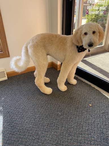 Three Paws Salon and Spa Gallery - United States