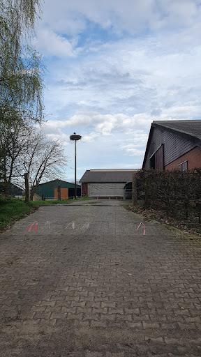 Storchennest 1 Rottorf