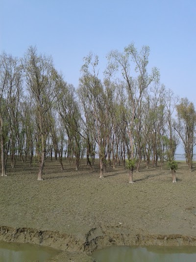 Photos of Chakaria Government High School