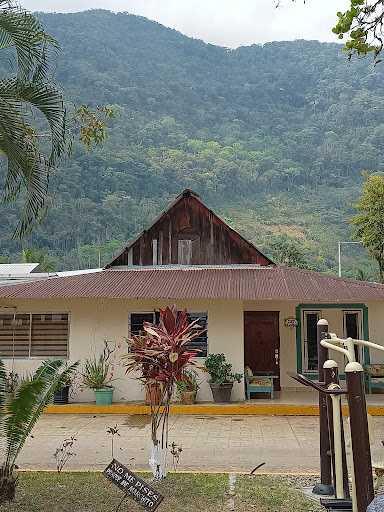 Zuzul Oficial