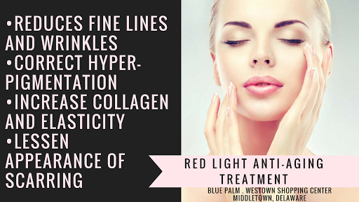 Blue Palm® Sunless Studio