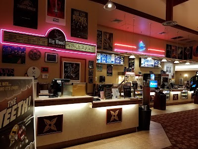 Metropolitan Big Wood Cinemas