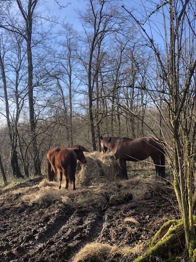 Photo de Centre Gériatrique du Muret