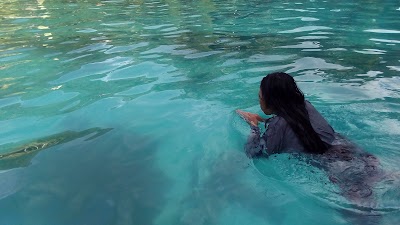 Photos of Swimming Pool Bantimurung