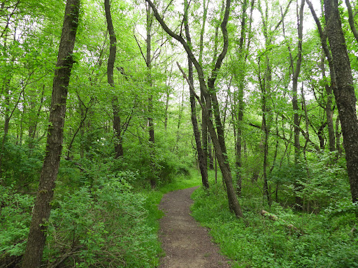 RABBIT HILL LOOP TRAIL - Visual