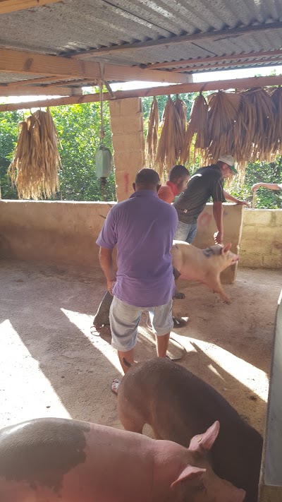 Photos of Esquina De Martin Chicha