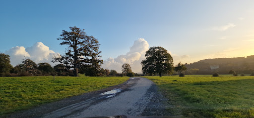 Eastnor Deer Park - United Kingdom