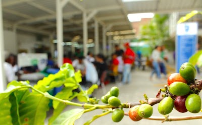 Photos of Antonio Jose Camacho University Institute Headquarters North