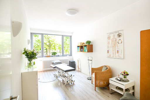 Physiotherapie am Löwenwall Logo