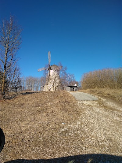 Photos of Muuga Tuulik