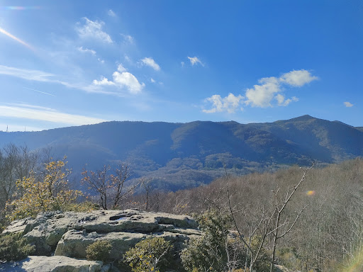 Els Empedrats del Montseny - Thumbnail