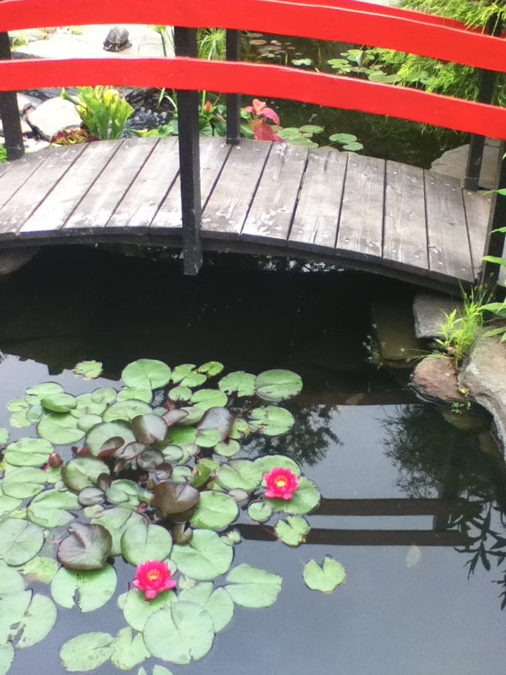 Chapley Gardens