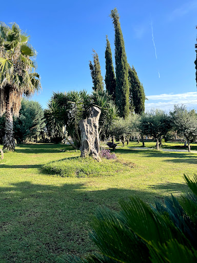 Iniziativa Agricola S.R.L. - Thumbnail
