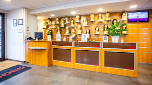 Photo n°31 de Chichis de femmes à Strasbourg (Magasin de perruques)