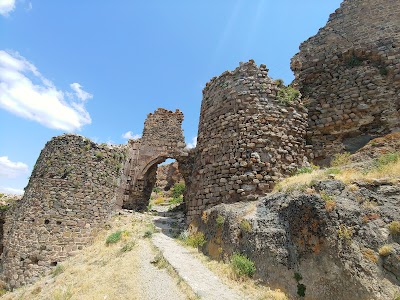 Şebinkarahisar Castle