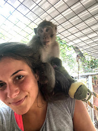 Photo n°22 de Alizée Foillard - Ostéopathe Animalier (équin, canin, félin) à Bouc-Bel-Air (Ostéopathe)