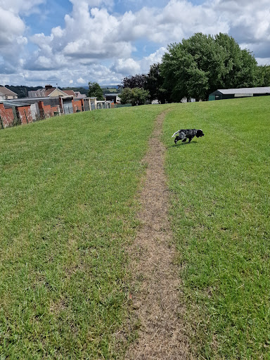 Bargoed Park - Visual