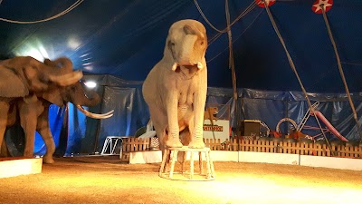Photos of Platschow Elefantendorf