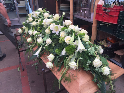 Blumen Weber - Visual