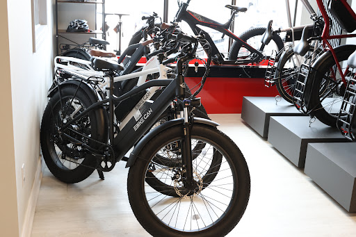 Ebikecan - Visual