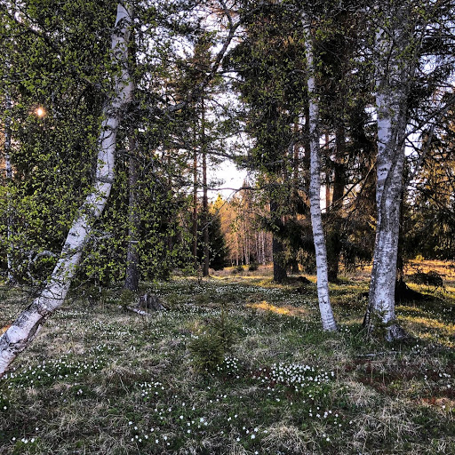 Eggarna - Visual