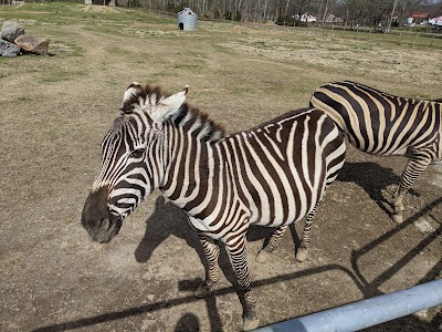 Pettit Creek Farms