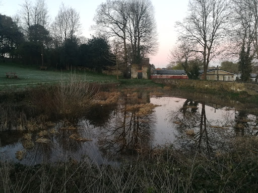 Echo Pond - Visual