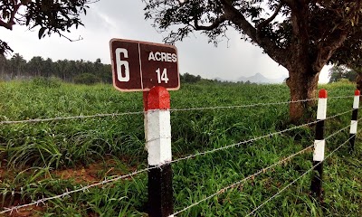 Photos of Pasture Lands NLDB Melsiripura