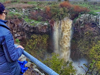 Photos of Israel Private Tour Guide