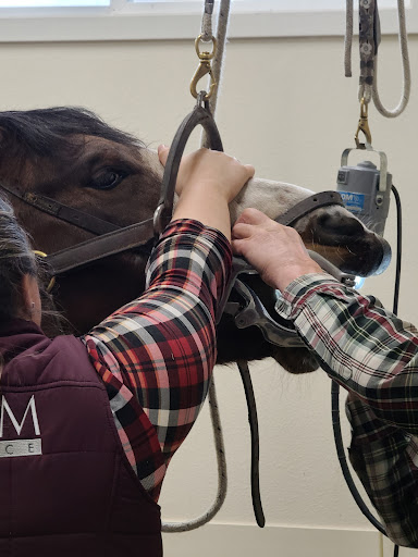 Equus Veterinary Service - Thumbnail