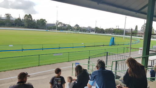 Potts Park Greyhounds Gallery - Australia