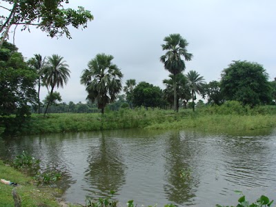 Photos of Purbachal Bestway City
