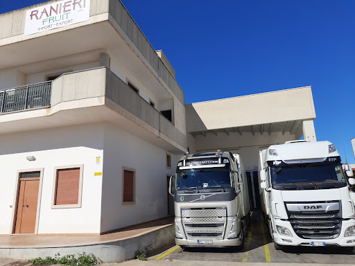 RANIERI FRUIT SRL - Visual